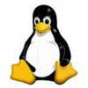 Linux Hosting server Gurgaon